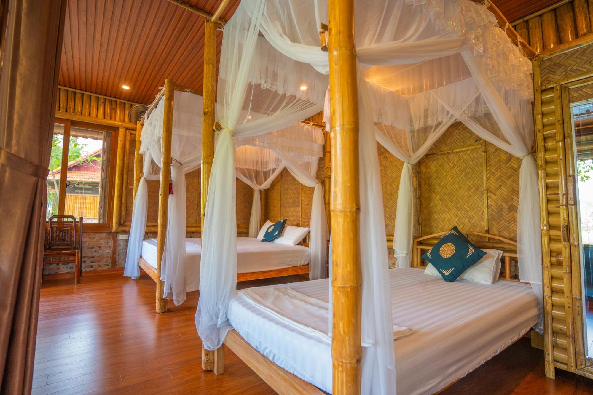 Lotus Field Homestay Ninh Bình Extérieur photo