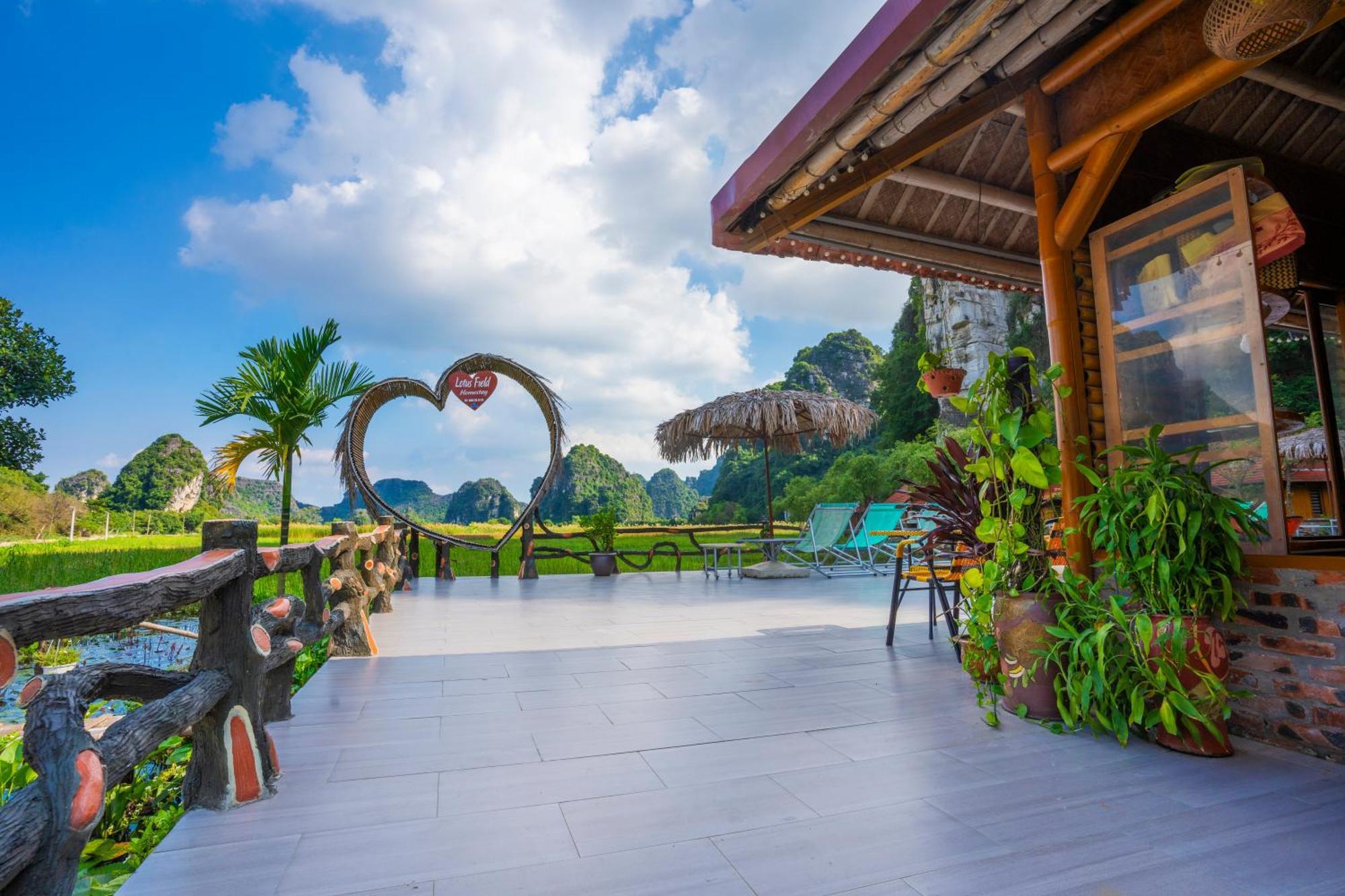 Lotus Field Homestay Ninh Bình Extérieur photo