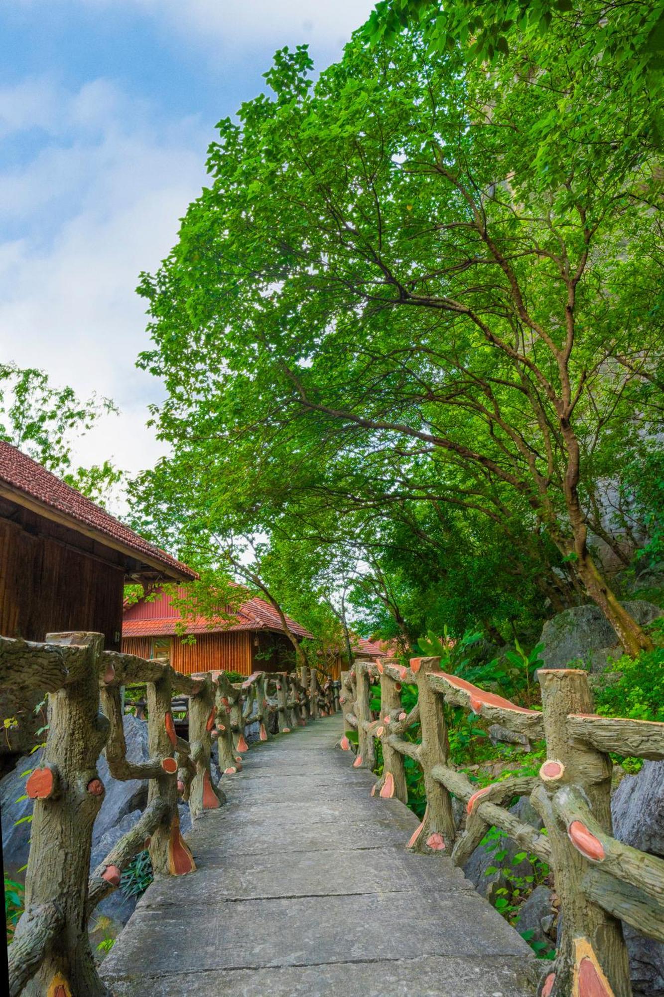 Lotus Field Homestay Ninh Bình Extérieur photo
