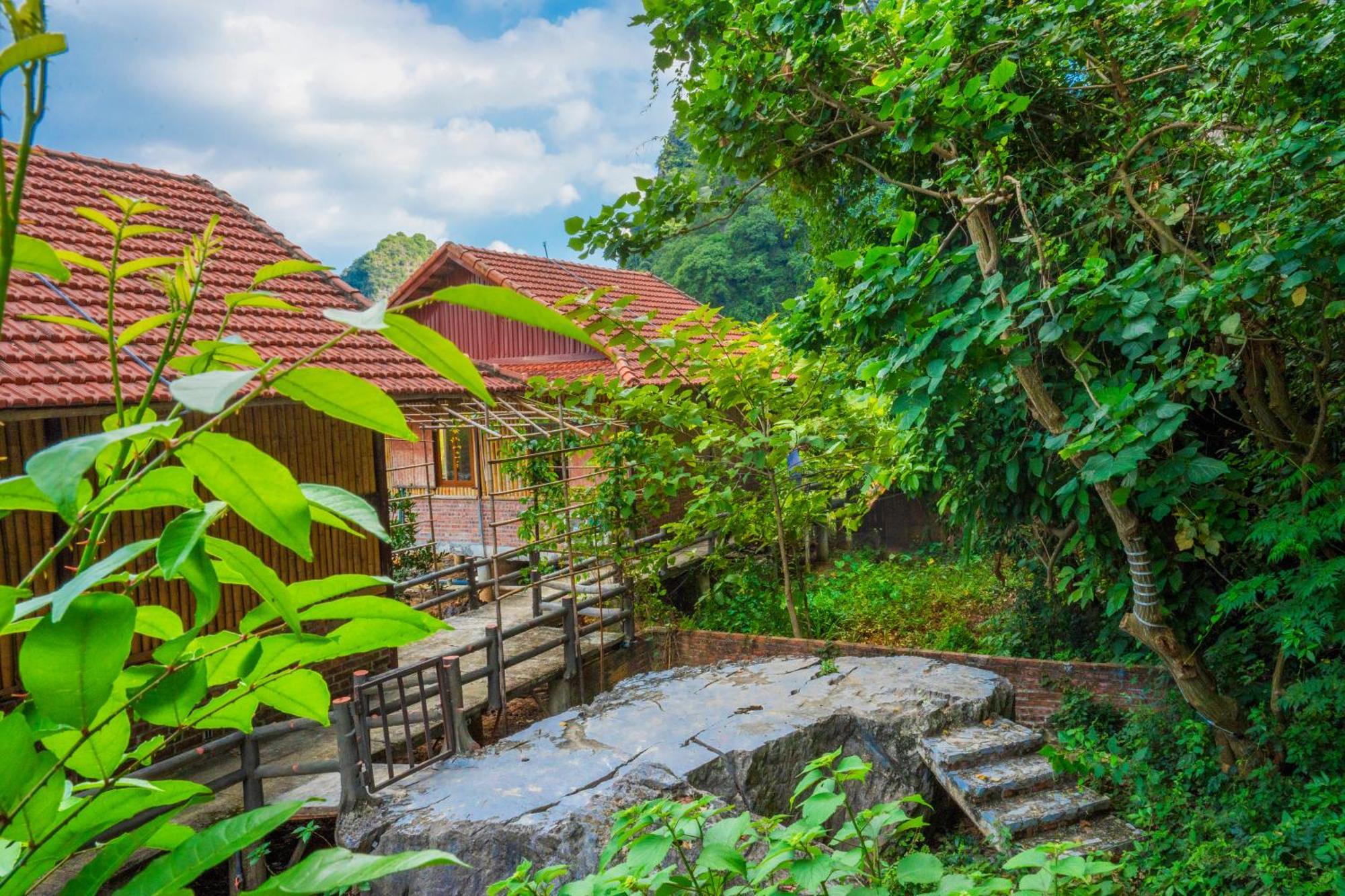 Lotus Field Homestay Ninh Bình Extérieur photo