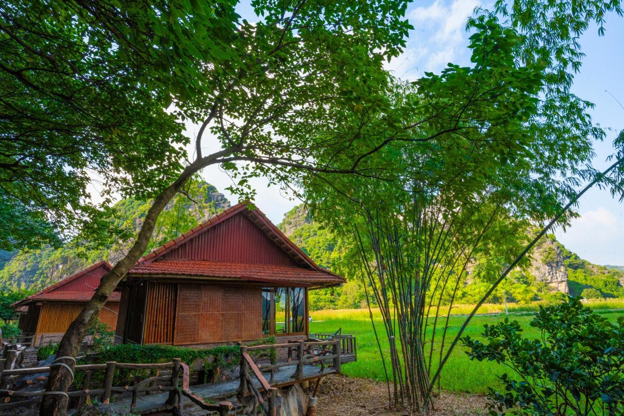 Lotus Field Homestay Ninh Bình Extérieur photo