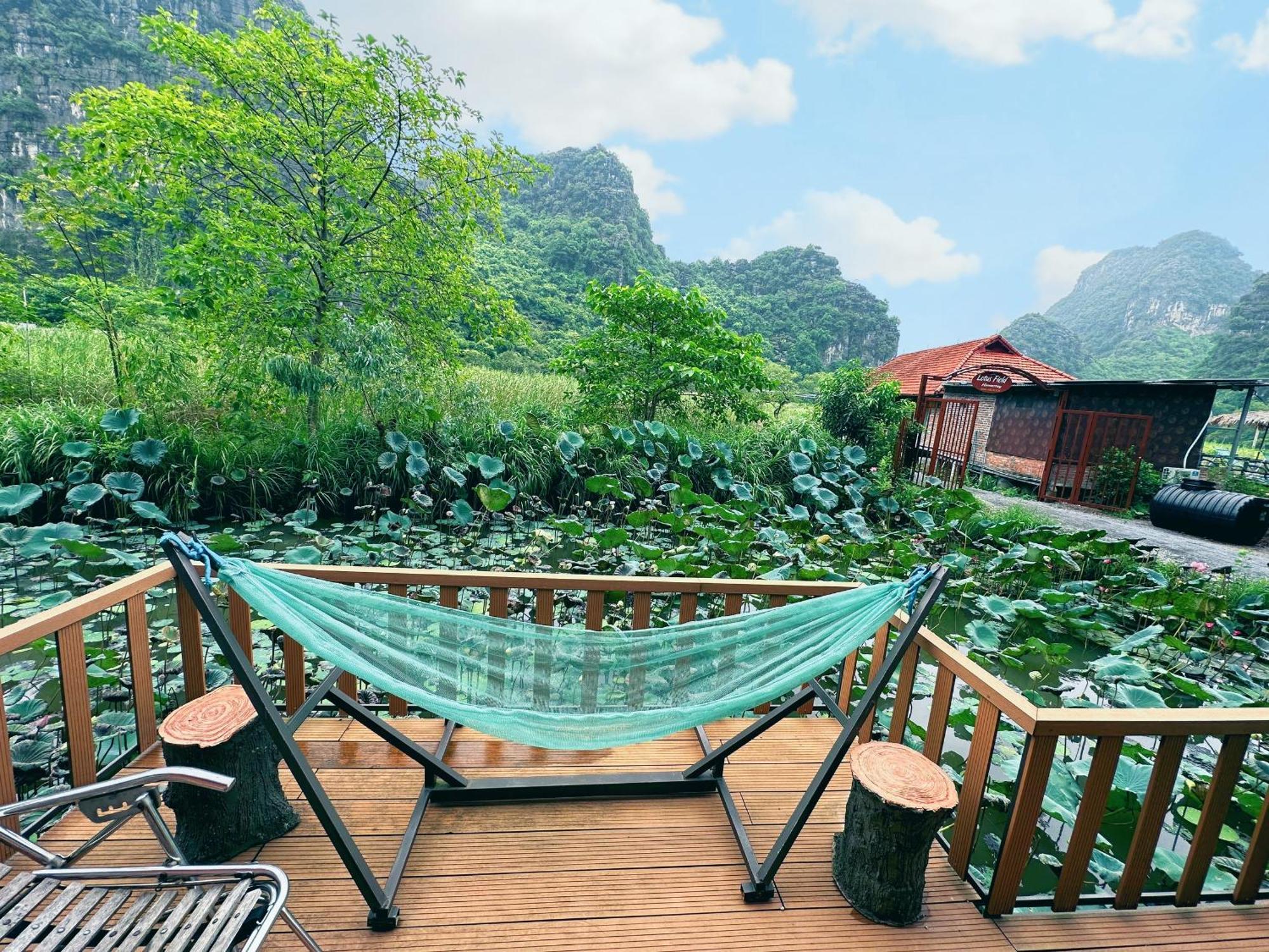 Lotus Field Homestay Ninh Bình Extérieur photo